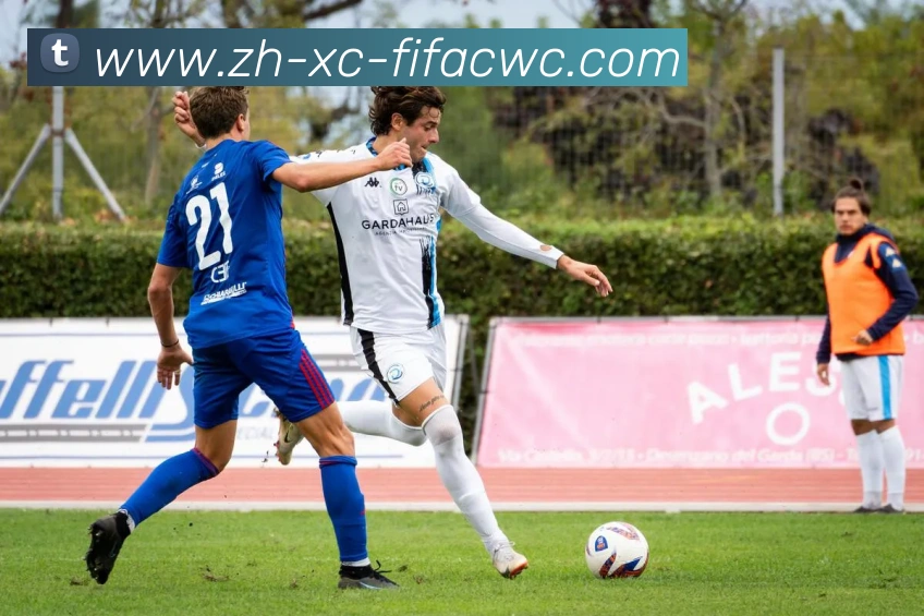 App Interface Preview